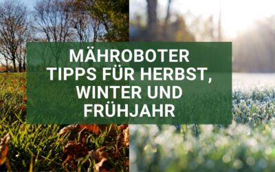 Automower-Tipps für Herbst, Winter und Frühjahr
